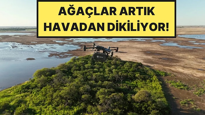 Dronlarla Havadan Ağaç Dikmeye Başladılar: 120 Gün Takip Etmek Zorundalar