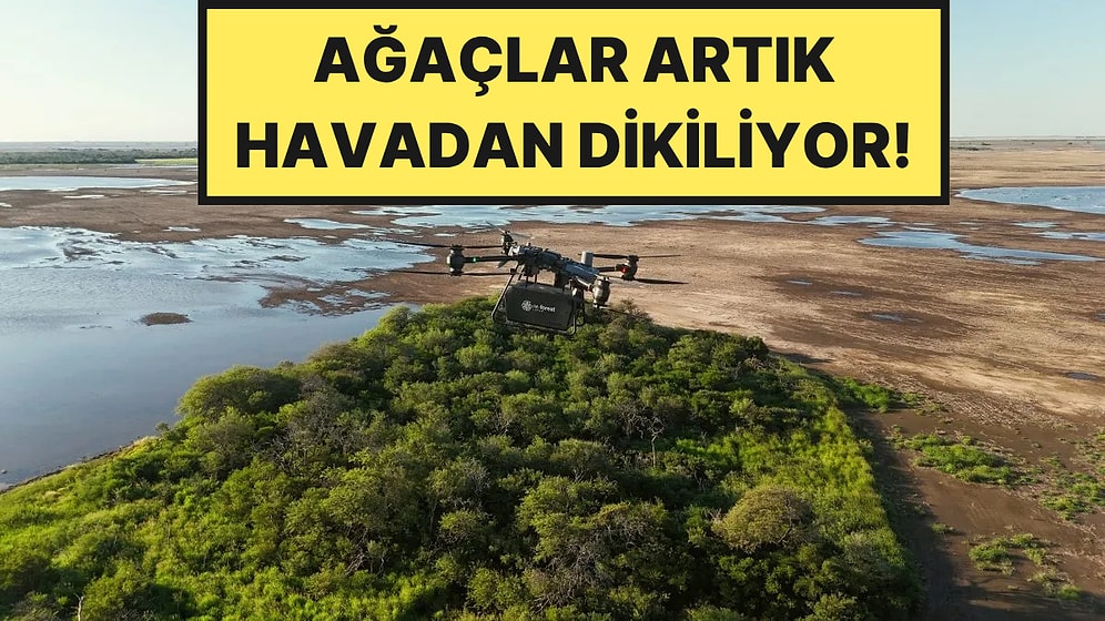 Dronlarla Havadan Ağaç Dikmeye Başladılar: 120 Gün Takip Etmek Zorundalar