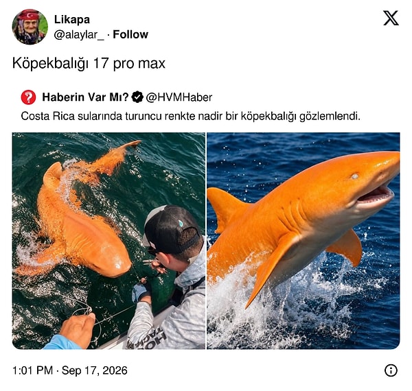 Kapatalım 👋