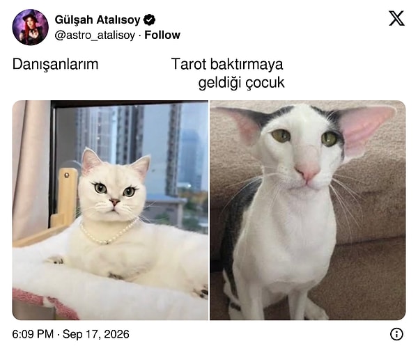 Aşkın gözü kör derler...