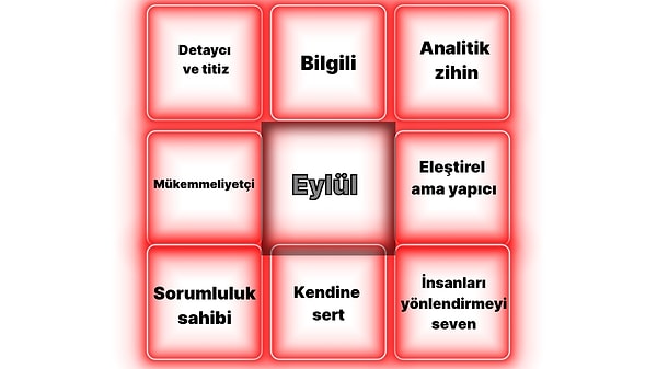 Detaycı Zihin Profili
