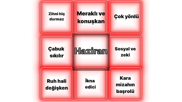 Zeki & Hareketli Profil