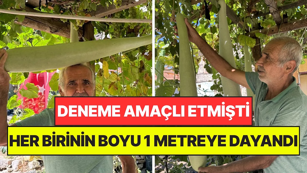Deneme Amaçlı Etki, Boyu 1 Metreye Dayandı: Gören Fotoğraf Çektirmek İçin Geliyor