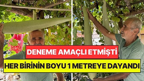 Deneme Amaçlı Etki, Boyu 1 Metreye Dayandı: Gören Fotoğraf Çektirmek İçin Geliyor