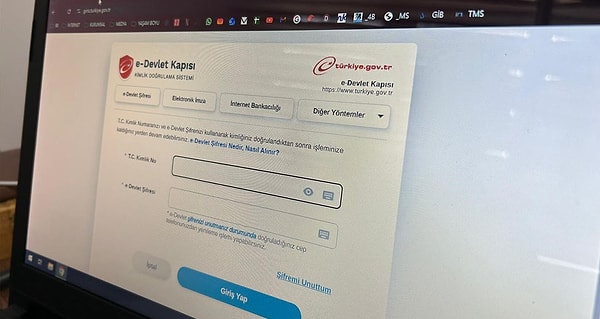 E-Devlet'teki PBLK ibaresi, tasfiye sürecinde öncelikli ödeme alacak yatırımcıları gösteriyor.