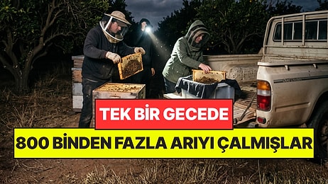 Polisleri Bile Şok Etti: Tek Bir Gecede 800 Binden Fazla Bal Arısını Çalmışlar