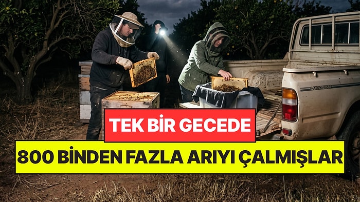 Polisleri Bile Şok Etti: Tek Bir Gecede 800 Binden Fazla Bal Arısını Çalmışlar