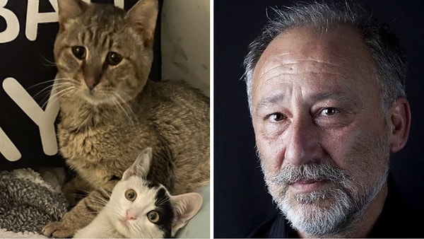 Sosyal medyada paylaşılan karedeki kedi, Altan Erkekli’ye benzetildi.