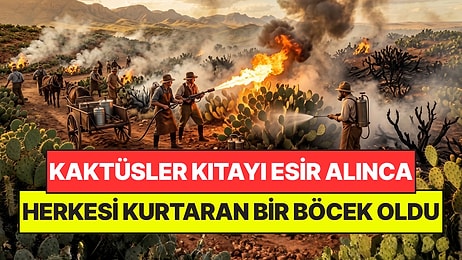 Tek Bir Kaktüs Tüm Kıtayı Esir Almıştı: Tüm Ülkenin Savaş Açtığı Bitkiyi Bir Böcek Yendi
