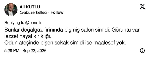 Görüntü gerçekçi olsa da doğalgaz fırınında piştiği için lezzetin hayal kırıklığı olduğunu söyleyen bir yanıt geldi