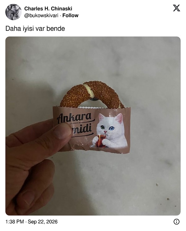 Alıntılayan bir başka kullanıcı ise kendi Ankara simidi magnetini çıkarıp "daha iyisi bende" dedi