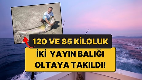 120 ve 85 Kiloluk İki Yayın Balığı Oltaya Takıldı: Sonra Bakın Ne Yaptılar