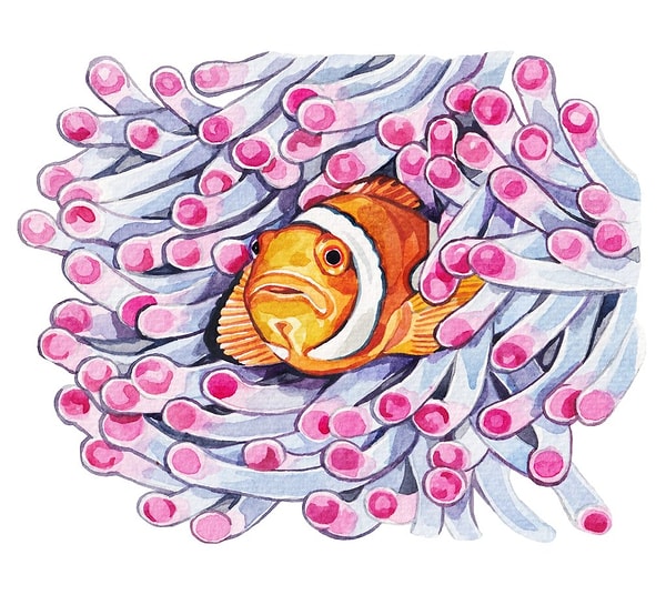 4. Kayıp Balık Nemo bilimsel olarak doğru çekilseydi Marlin'in dişiye dönüşmesi gerekirdi.