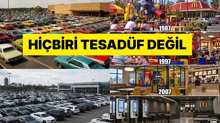Renkler Vardı Gülfem: Hayatımızdaki Renkler Neden Birer Birer Kayboldu?