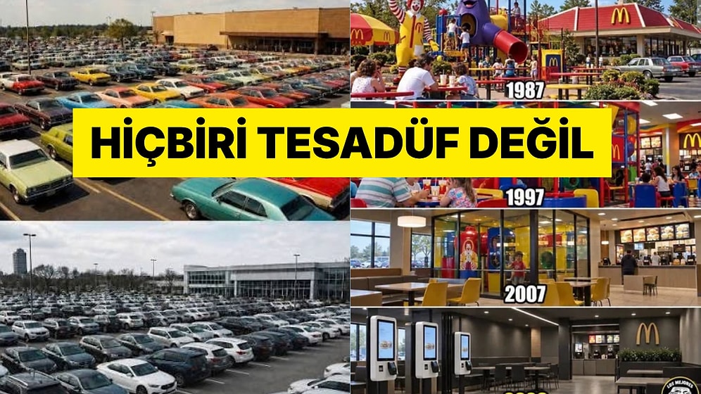 Renkler Vardı Gülfem: Hayatımızdaki Renkler Neden Birer Birer Kayboldu?