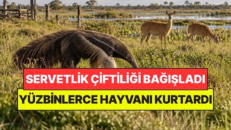 Servet Kazandıran Çiftiliği Park Olması İçin Bağışladı: Hayvancılığı Bitirdi