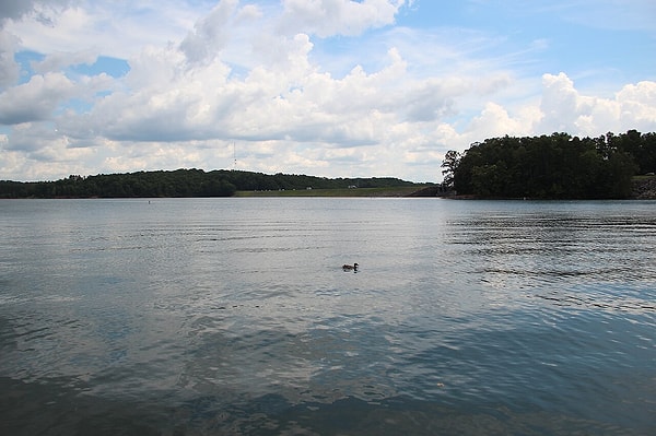 According to official records, over 200 people have lost their lives in the lake since 1994.