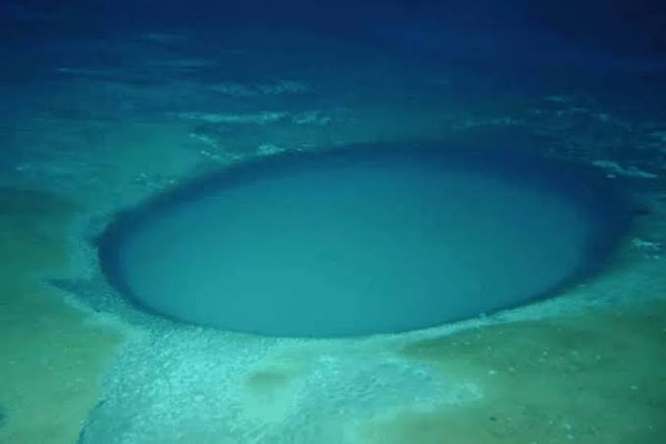 Metallerle beslenen canlılar atmosferde oksijen yokken yaşamın nasıl sürdüğünü gösteriyor