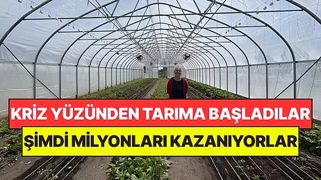 Evlerini Kaybedince Tarıma Geçtiler: Şimdi Her Yıl Milyonlar Kazanıyorlar