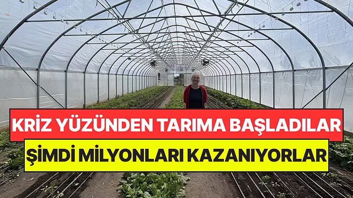 Evlerini Kaybedince Tarıma Geçtiler: Şimdi Her Yıl Milyonlar Kazanıyorlar