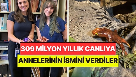 Başta Çöp Sanılıyordu: Keşfettikleri 309 Milyon Yıllık Canlıya Annelerinin İsmini Verdiler