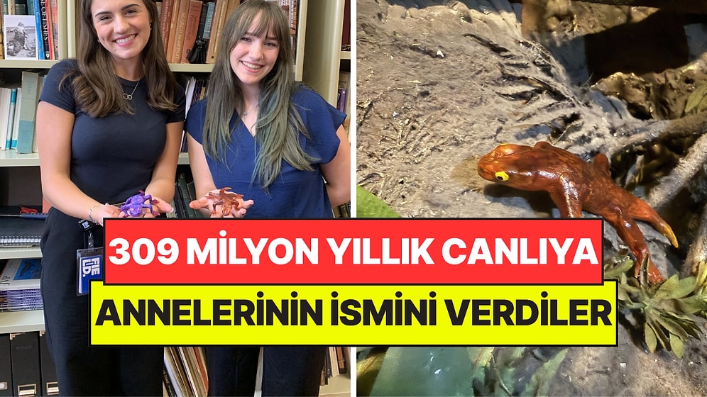 Başta Çöp Sanılıyordu: Keşfettikleri 309 Milyon Yıllık Canlıya Annelerinin İsmini Verdiler