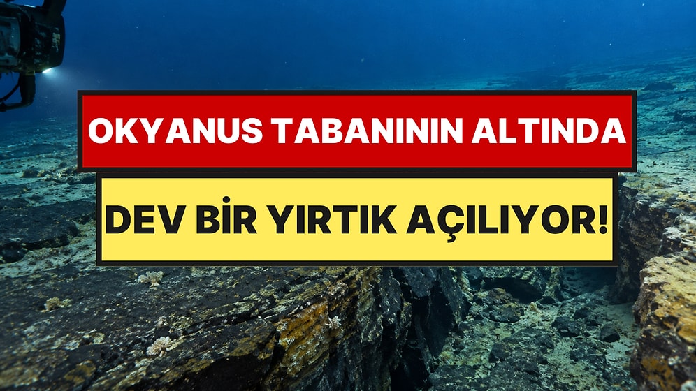 Suyun Altında Dev Bir Plaka Parça Parça Kopuyor: İlk Kez Bu Kadar Net Görüldü