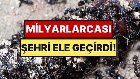 Milyarlarcası Şehri Sardı: Sokakları Kaynar Suyla Yıkıyorlar