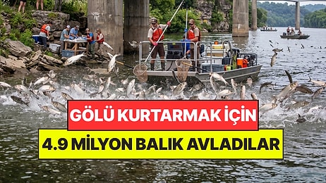 Gölü Kurtarmak İçin 30 Yıl Boyunca 4.9 Milyon Katil Balık Avladılar