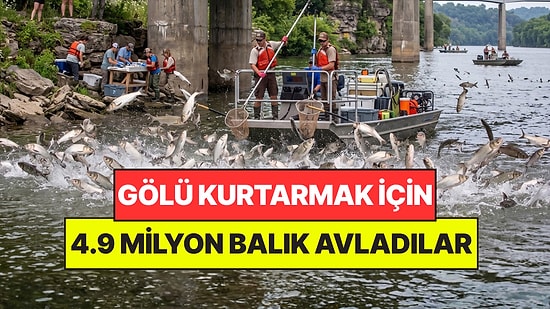 Gölü Kurtarmak İçin 30 Yıl Boyunca 4.9 Milyon Katil Balık Avladılar