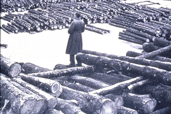 Her Şey 1938'deki Büyük Kasırgayla Başladı