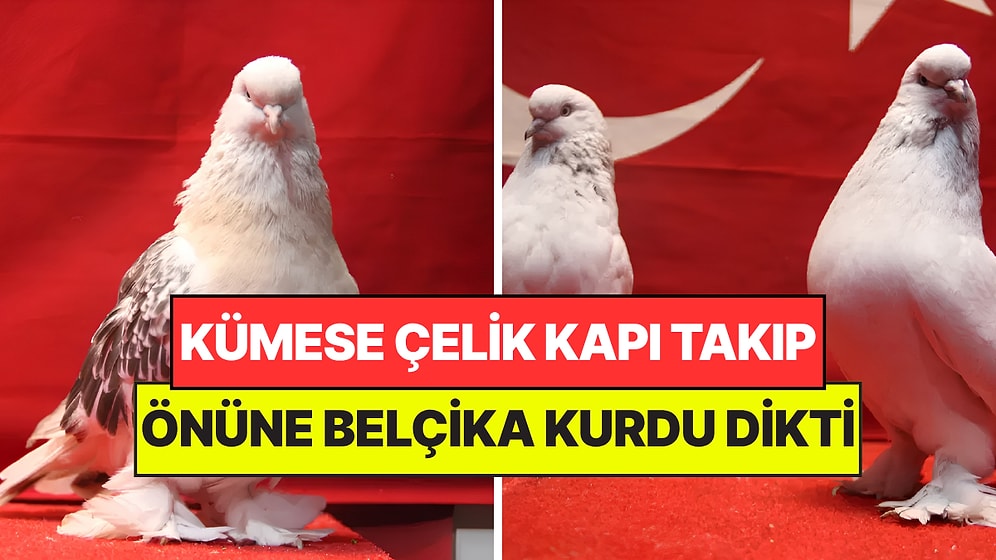 Kümesin Önüne Belçika Kurdu Dikti: 800 Bin Liralık Serveti 24 Saat Koruyor