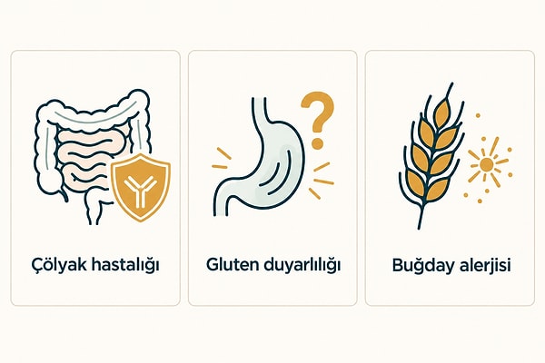 Çölyak hastalığı ile gluten duyarlılığı aynı şey değildir.