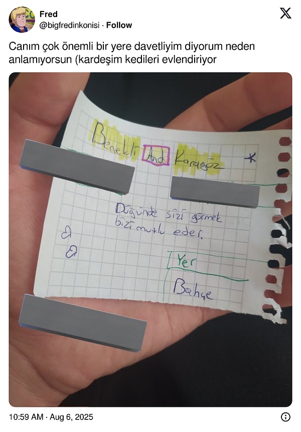 Kedilerini evlendiren bir kardeş, düğün için el yapımı davetiyeleri bile hazırlamış