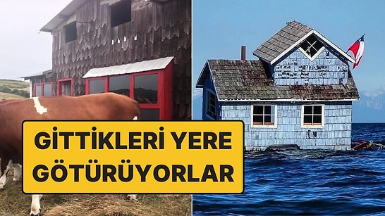 Taşınırken Evlerini de Yanlarında Götürüyorlar: Şili'deki Chiloé Adası'nın Asırlık Geleneği