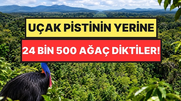 Uçak Pistini Ormana Çevirdiler: Mucize Yaşandı