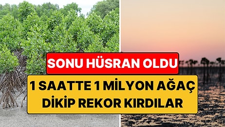 1 Saatte 1 Milyon Ağaç Dikip Rekor Kırdılar: Sonu Hüsran Oldu