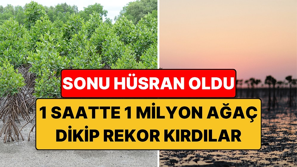 1 Saatte 1 Milyon Ağaç Dikip Rekor Kırdılar: Sonu Hüsran Oldu