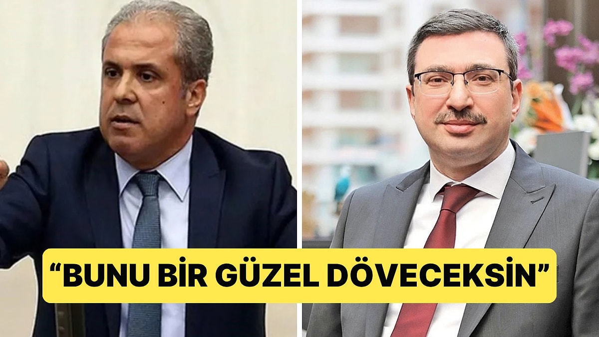 Şamil Tayyar'dan Eski SPK Başkanına Tepki: "Bunu Bir Güzel Döveceksin"