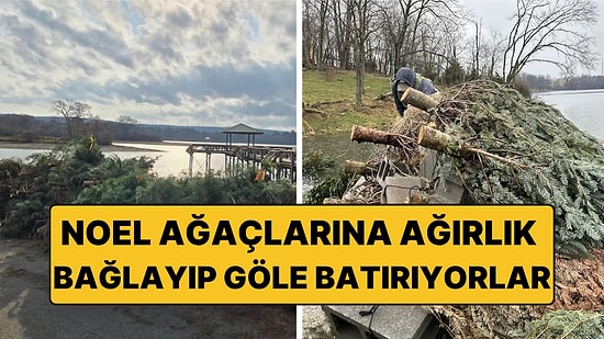 Noel Ağaçlarına Ağırlık Bağlayıp Gölün Dibine Batırıyorlar: Nedeni Şaşırtıcı
