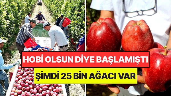 Hobi Olarak Dikmişti, Şimdi 25 Bin Elma Ağacı Var: 130 Dönümlük Bahçeden 400 Ton Bekliyor