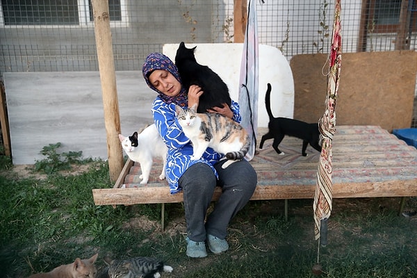 Sağlıklı'nın sahipsiz hayvanlara bakma serüveni, İstanbul'da yaşadığı yıllarda başladı.