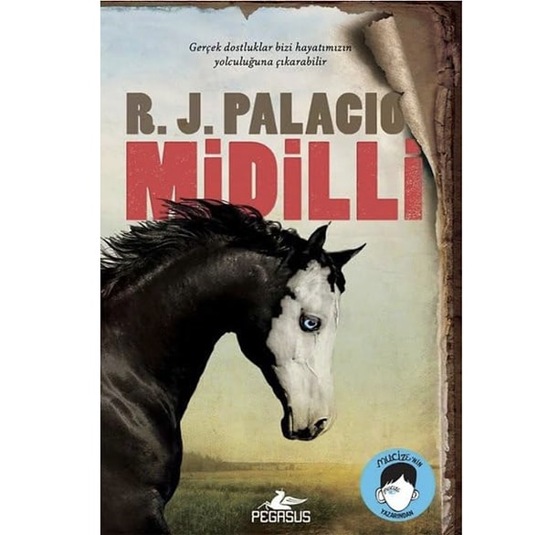 Midilli – R. J. Palacio