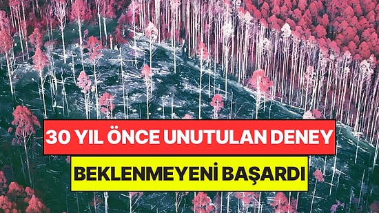 30 Yıl Önce Unutulan Deneye Geri Döndüler: Çıkan Sonucu Kimse Beklemiyordu