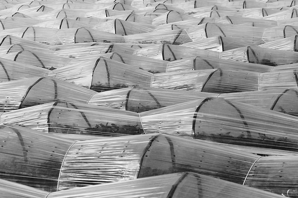 Plant Armor adlı örtü, böceklerin geçişini gözenek boyutuyla değil, labirent benzeri üç boyutlu yapısıyla zorlaştırıyor.