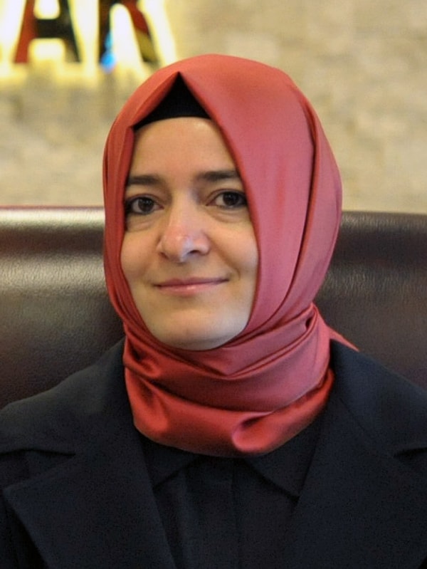 Sayan ailesinin kamu zinciri kuzenlerle bitmiyor.