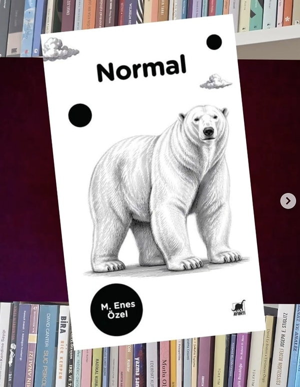 Bütün bu coğrafyanın dayattığı normallik...