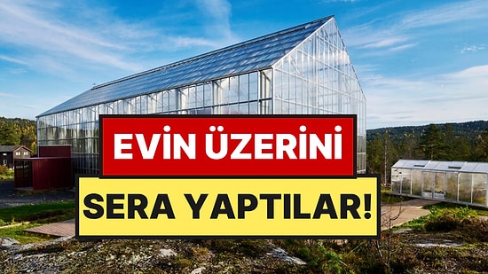 Evlerini Dev Bir Seranın İçine Kurdular: Kışın Ortasında Meyve Yetiştiriyorlar