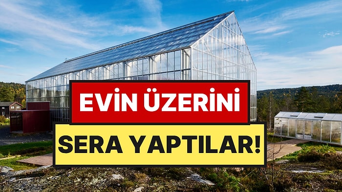 Evlerini Dev Bir Seranın İçine Kurdular: Kışın Ortasında Meyve Yetiştiriyorlar