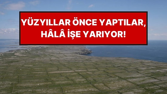 Tarlaları Taş Duvarlarla Küçük Parçalara Böldüler: Hâlâ İşe Yarıyor